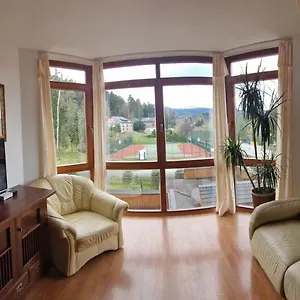 https://skalna-view-apartament-z-widokiem-balkon-parking.karpacz-hotel.com